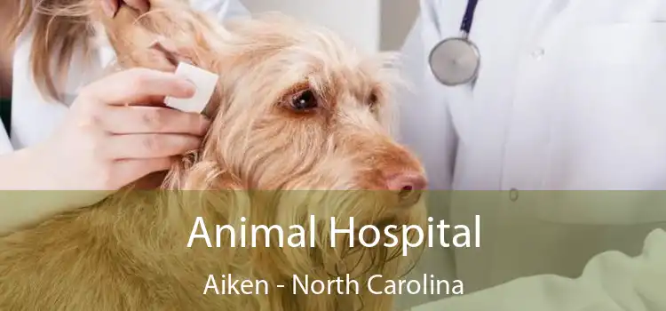 Animal Hospital Aiken - North Carolina