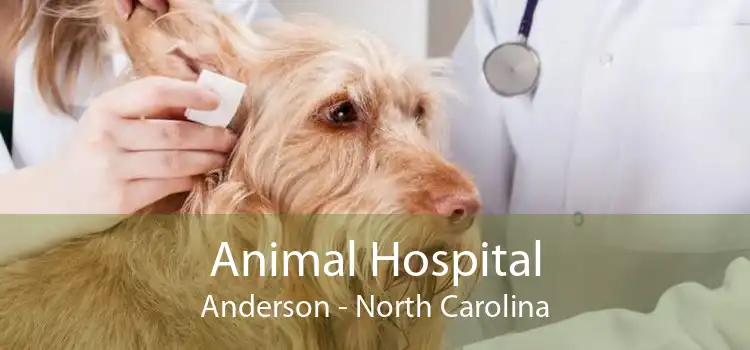 Animal Hospital Anderson - North Carolina
