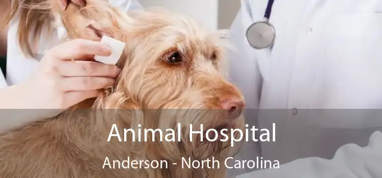 Animal Hospital Anderson - North Carolina