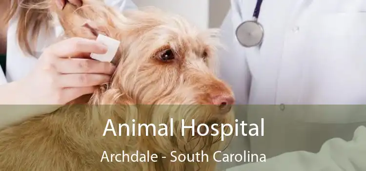 Animal Hospital Archdale - South Carolina