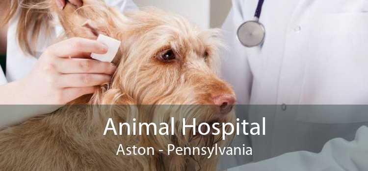 Animal Hospital Aston - Pennsylvania