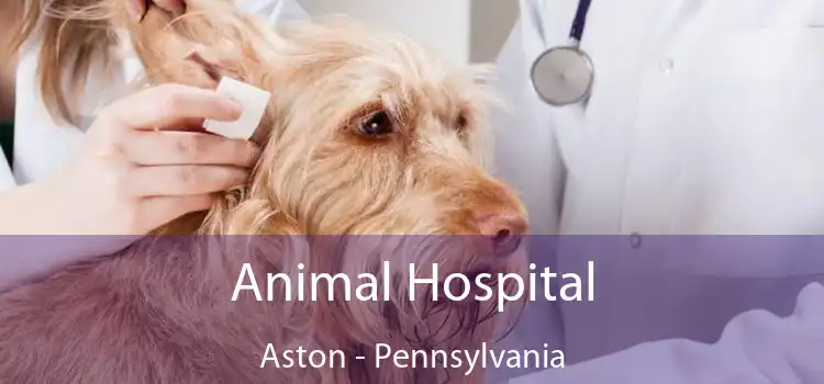 Animal Hospital Aston - Pennsylvania