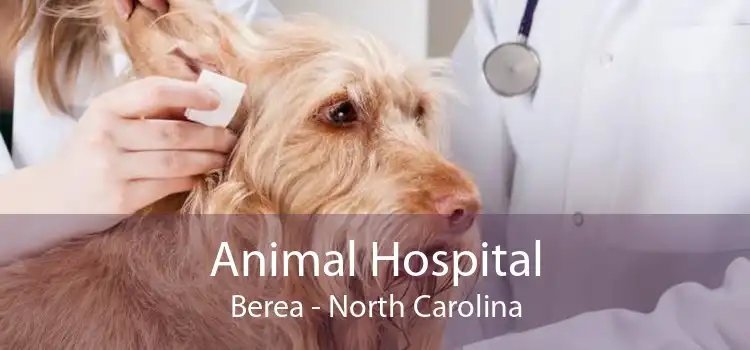 Animal Hospital Berea - North Carolina