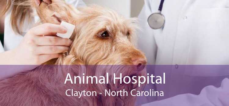 Animal Hospital Clayton - North Carolina