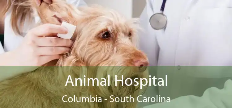 Animal Hospital Columbia - South Carolina