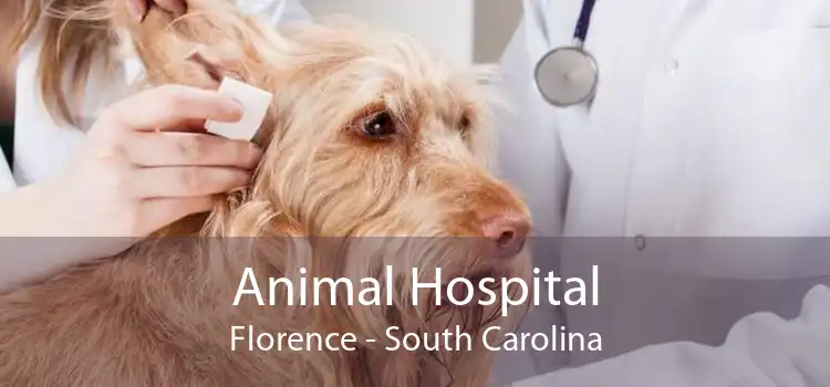 Animal Hospital Florence - South Carolina