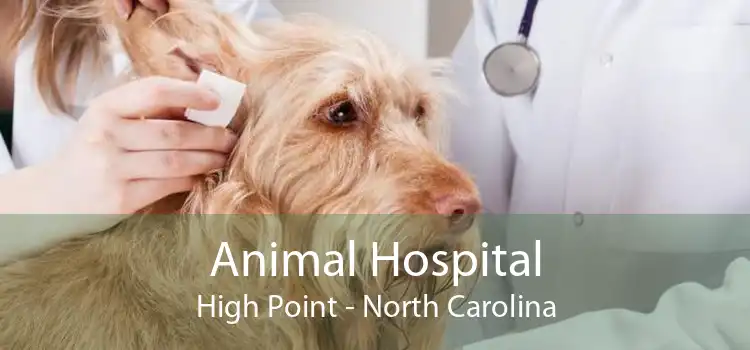 Animal Hospital High Point - North Carolina