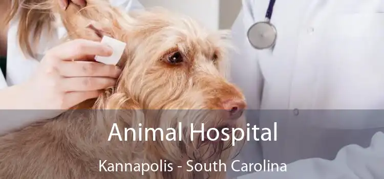 Animal Hospital Kannapolis - South Carolina