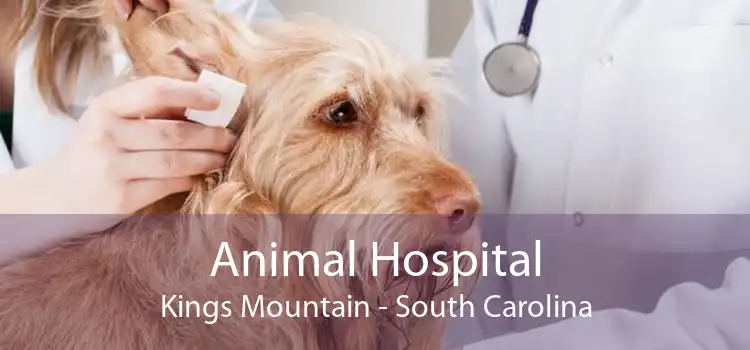 Animal Hospital Kings Mountain - South Carolina