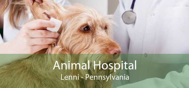 Animal Hospital Lenni - Pennsylvania