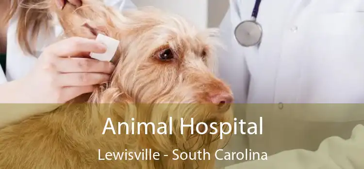 Animal Hospital Lewisville - South Carolina