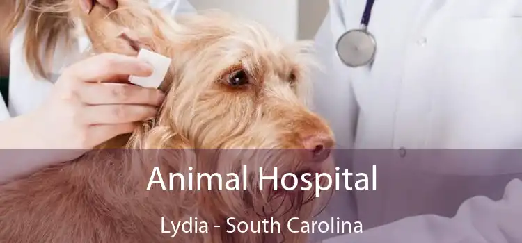 Animal Hospital Lydia - South Carolina