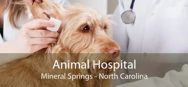 Animal Hospital Mineral Springs - North Carolina