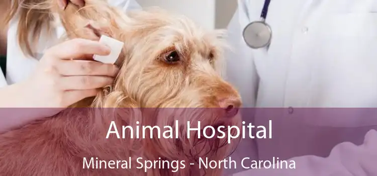 Animal Hospital Mineral Springs - North Carolina