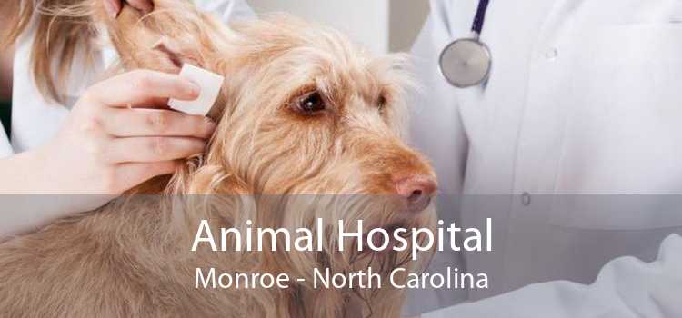 Animal Hospital Monroe - North Carolina