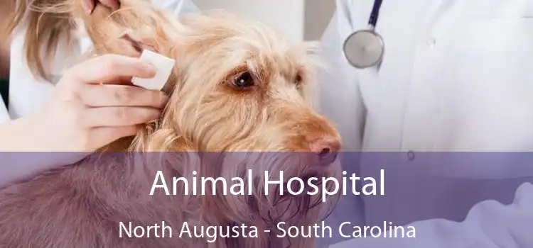 Animal Hospital North Augusta - South Carolina