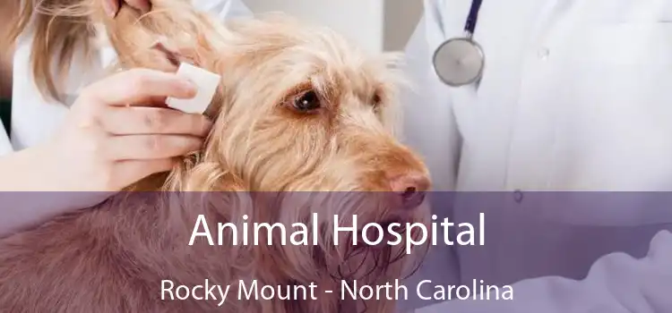 Animal Hospital Rocky Mount - North Carolina