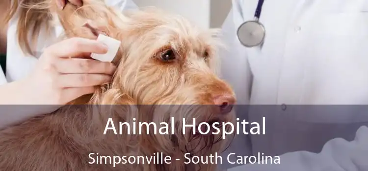 Animal Hospital Simpsonville - South Carolina