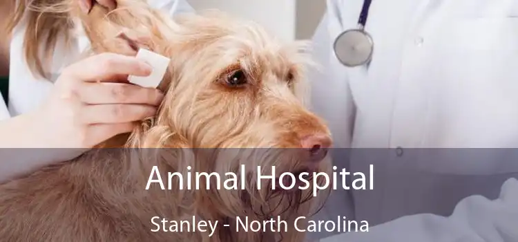 Animal Hospital Stanley - North Carolina