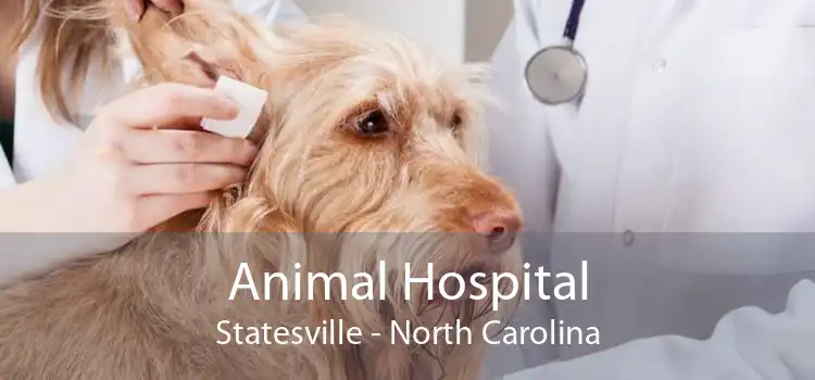 Animal Hospital Statesville - North Carolina