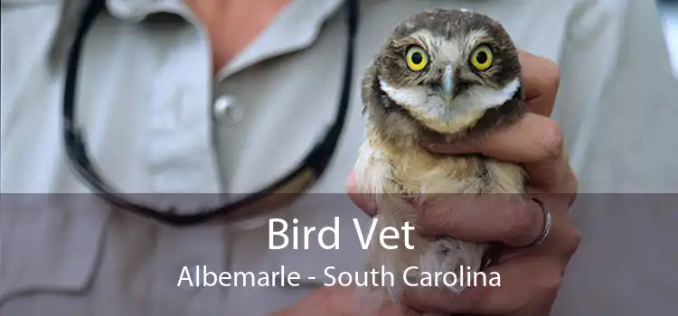 Bird Vet Albemarle - South Carolina