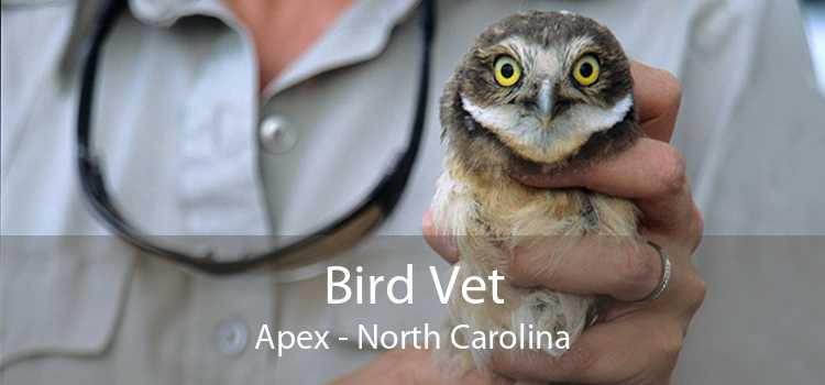 Bird Vet Apex - North Carolina