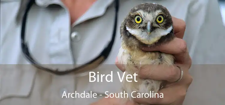 Bird Vet Archdale - South Carolina