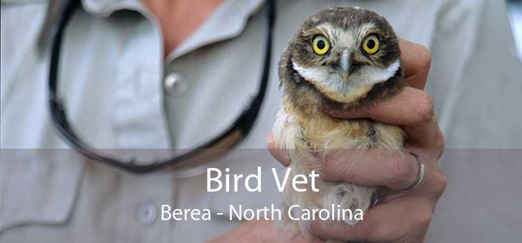 Bird Vet Berea - North Carolina