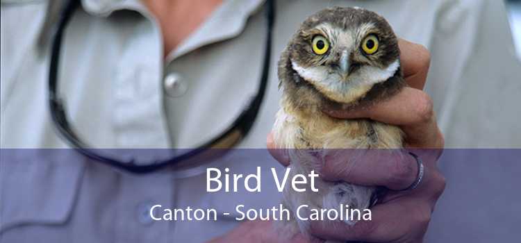 Bird Vet Canton - South Carolina