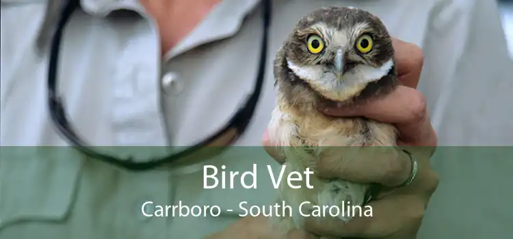 Bird Vet Carrboro - South Carolina