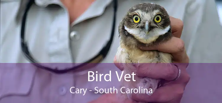Bird Vet Cary - South Carolina