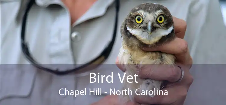 Bird Vet Chapel Hill - North Carolina