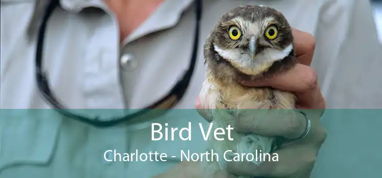 Bird Vet Charlotte - North Carolina