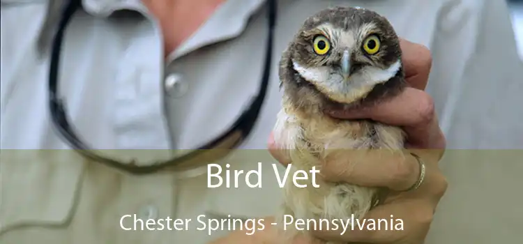 Bird Vet Chester Springs - Pennsylvania