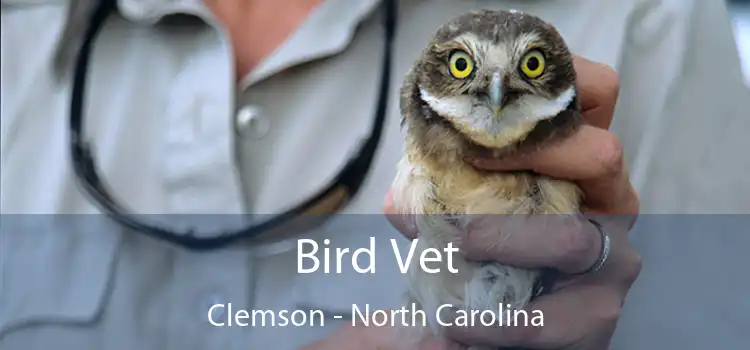 Bird Vet Clemson - North Carolina