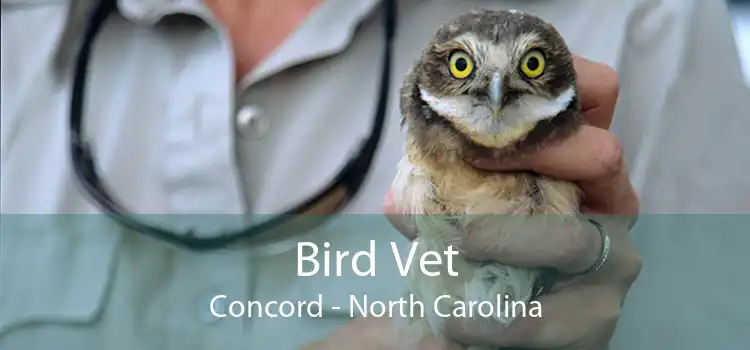 Bird Vet Concord - North Carolina