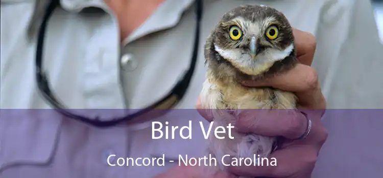 Bird Vet Concord - North Carolina