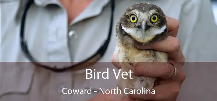 Bird Vet Coward - North Carolina