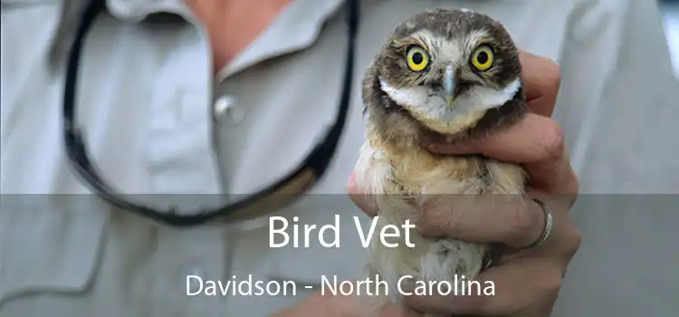 Bird Vet Davidson - North Carolina