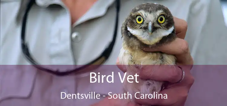 Bird Vet Dentsville - South Carolina