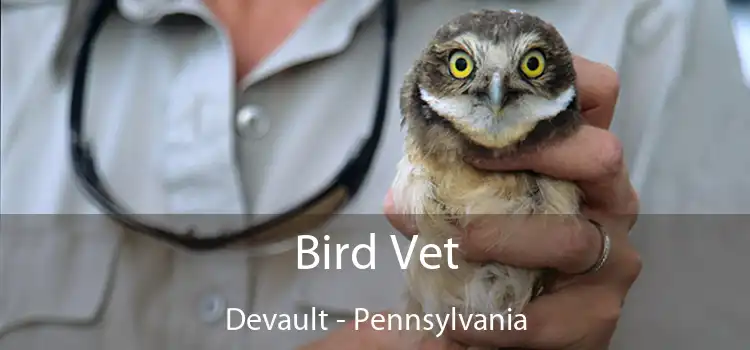 Bird Vet Devault - Pennsylvania