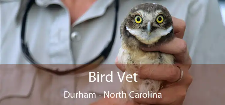 Bird Vet Durham - North Carolina