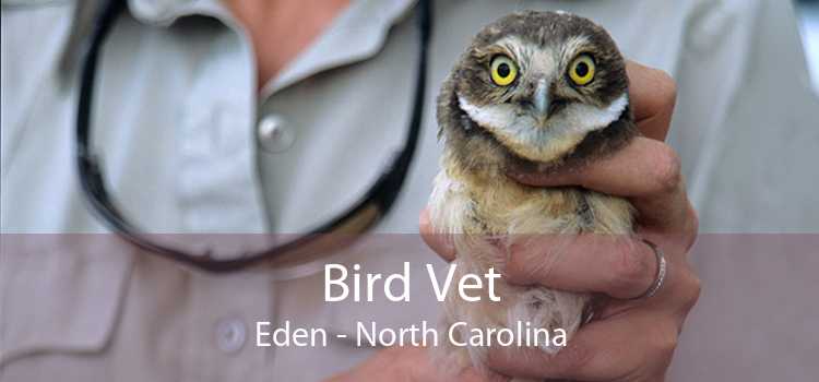 Bird Vet Eden - North Carolina
