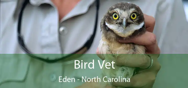 Bird Vet Eden - North Carolina