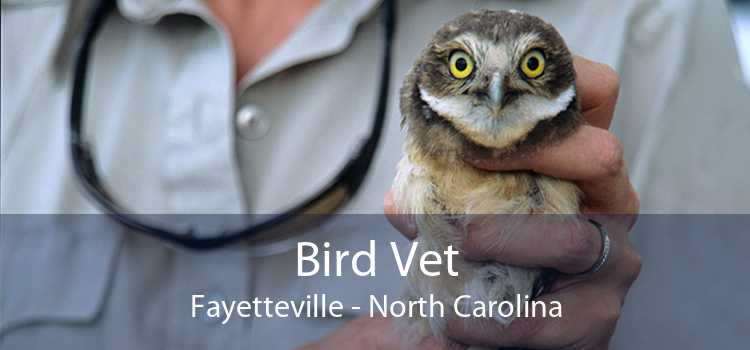 Bird Vet Fayetteville - North Carolina
