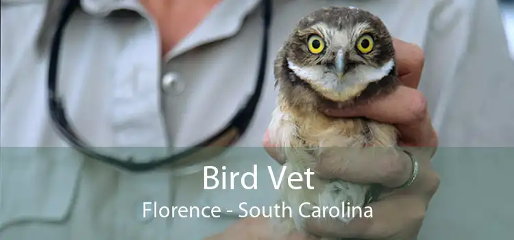 Bird Vet Florence - South Carolina