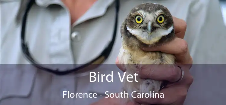 Bird Vet Florence - South Carolina