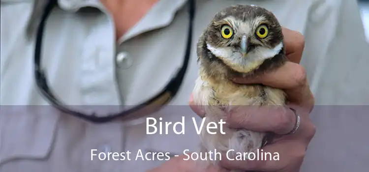 Bird Vet Forest Acres - South Carolina