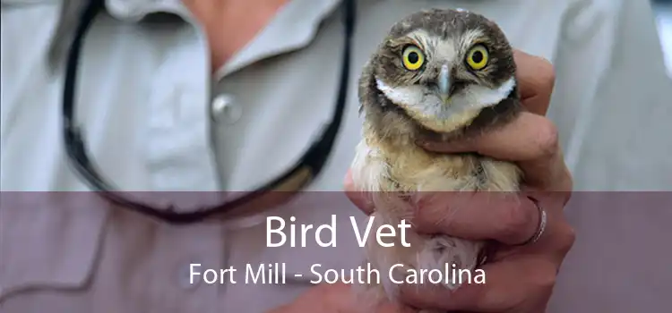 Bird Vet Fort Mill - South Carolina