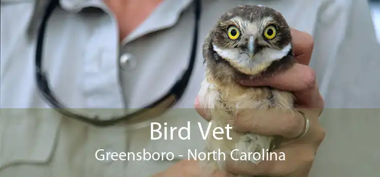 Bird Vet Greensboro - North Carolina